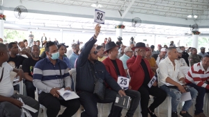 Bienes Nacionales subastó vehículos y mobiliarios por más de 15 millones