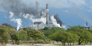 Gerencia Ingenio Barahona