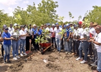 Colaboradores de Bienes Nacionales CEA-CORDE siembran más de 500 arboles